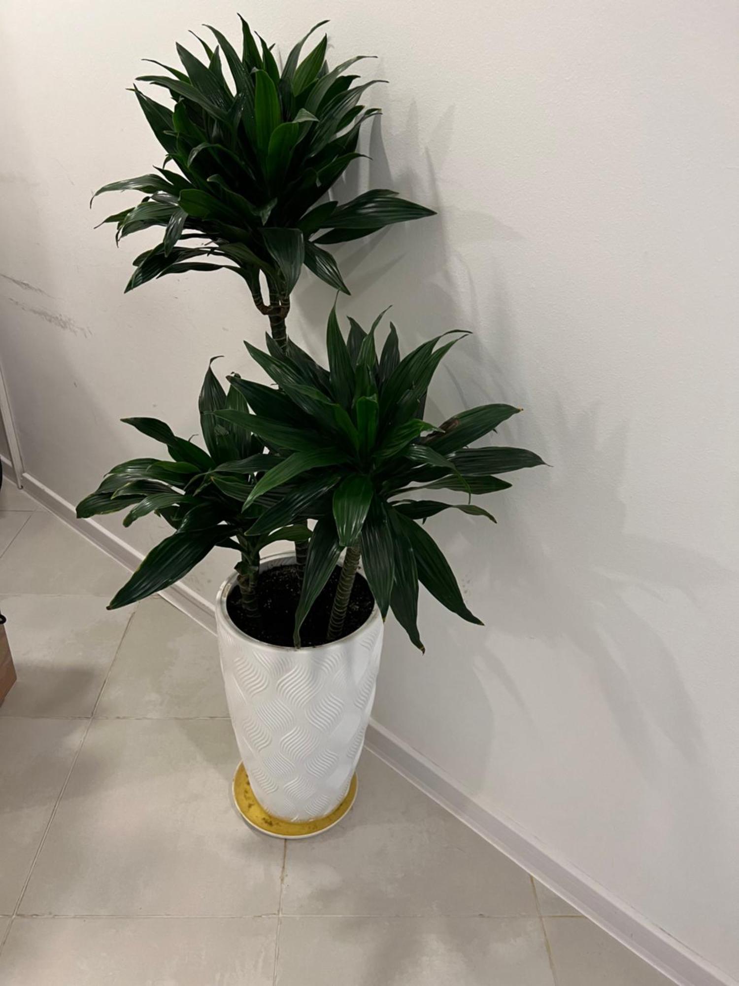 Apple Cozy Hotel Tbilisi Bagian luar foto